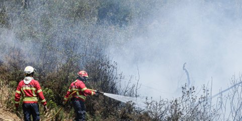 Incêndios: Governo antecipou pagamento de um milhão de euros a corporações de bombeiros