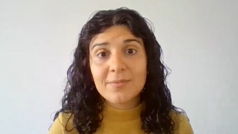 Exclusivo - "A saúde não pede passaporte”: profissionais contestam exclusão de imigrantes irregulares do SNS
 
