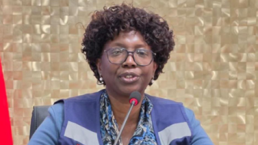 Vacinação de crianças é investimento fundamental no futuro de Angola – ministra
