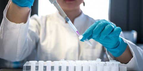 Consórcio desenvolve tecnologia para identificar infeção e antibiótico adequado em tempo real