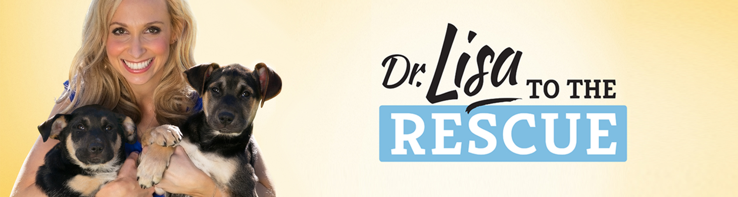 Doctor Lisa to the Rescue